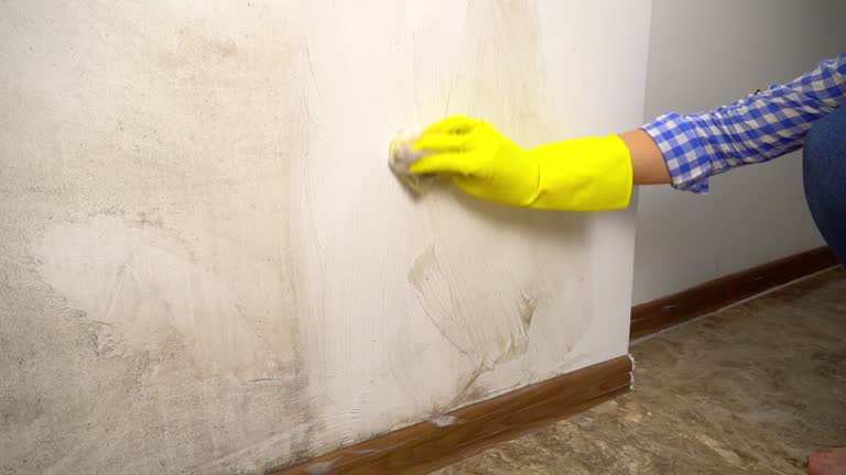 Best Attic Mold Removal  in Wade, MS