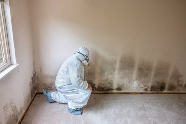 Best Real Estate Mold Inspection  in Wade, MS